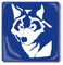 BlueWolf-Produktion